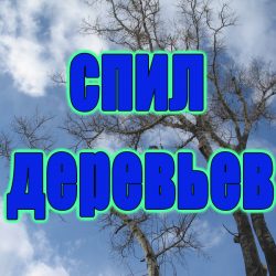 Спилить дерево в Полтаве и Полтавской области. Спилить дерево.(099)60-60-849